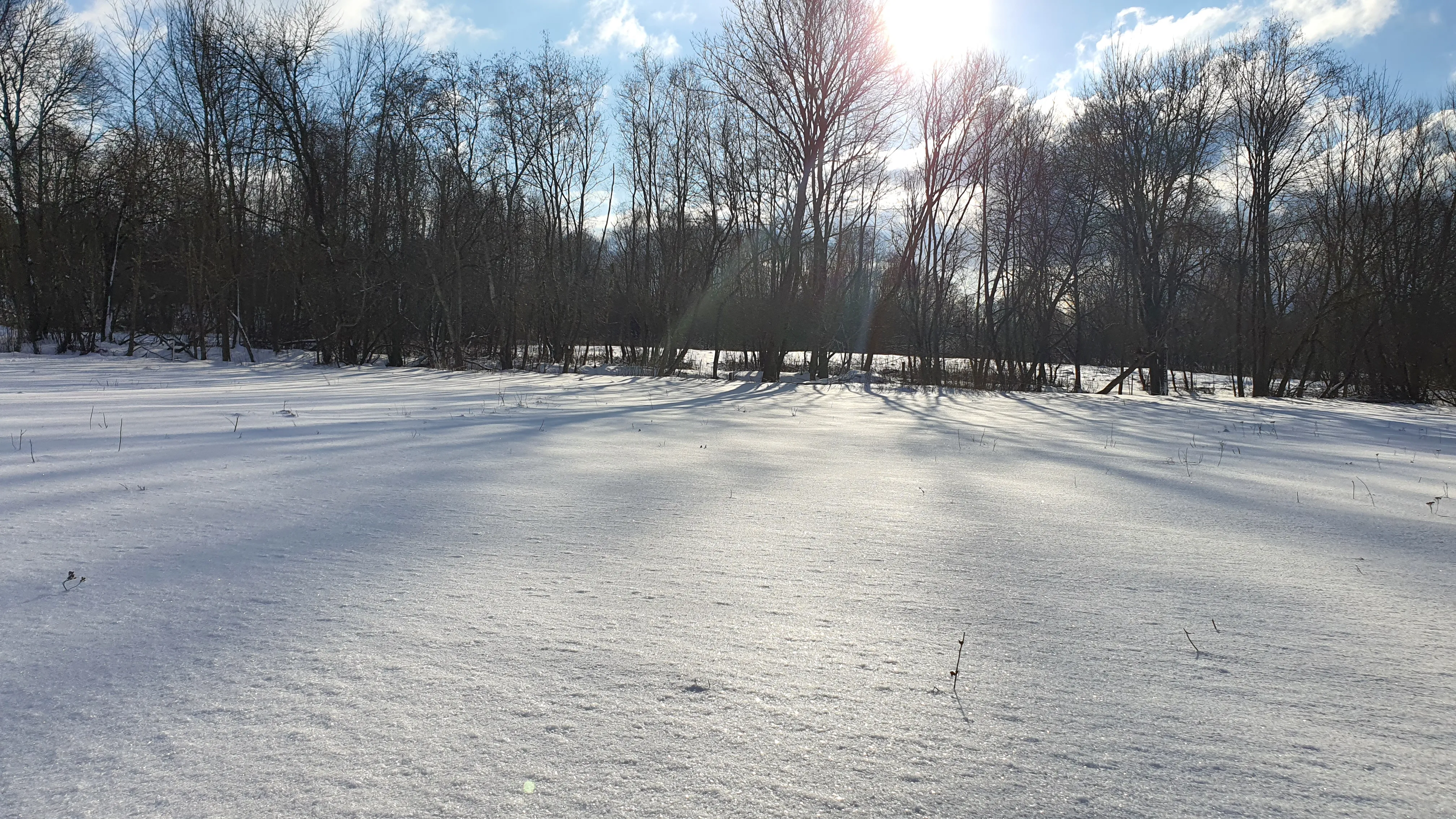 Candidate for Winter 1.
